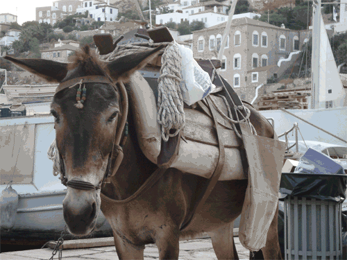 c0058594_23344968.gif