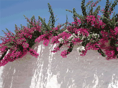 c0058594_23363715.gif