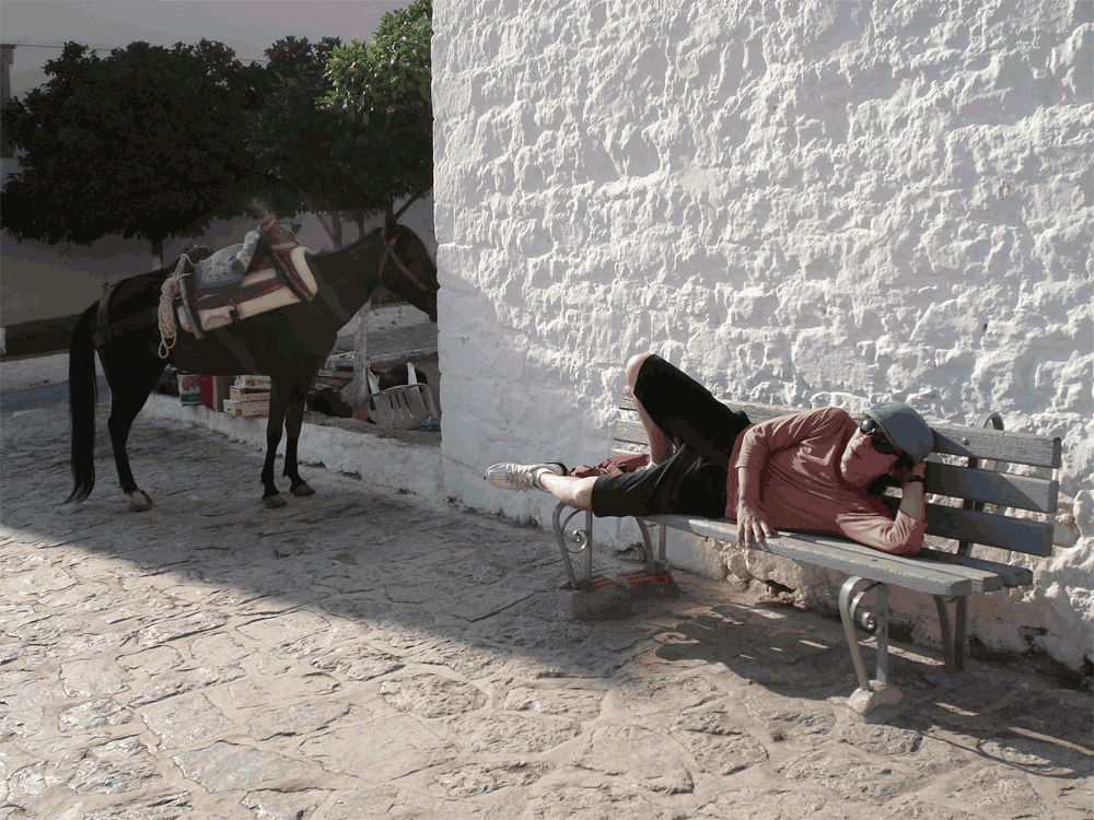 c0058594_23372682.gif