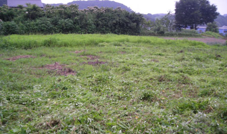 d0000995_23362941.jpg