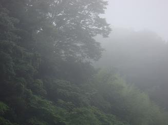 f0110396_18314867.jpg