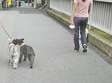 c0138198_6534771.jpg