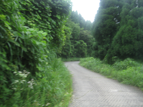 b0097200_1595134.jpg