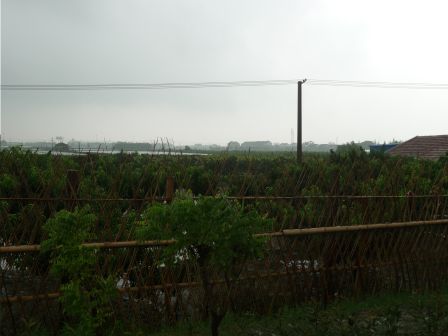 d0090300_16452869.jpg