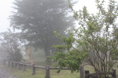 a0007906_8515311.jpg