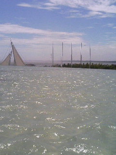f0198306_21414576.jpg