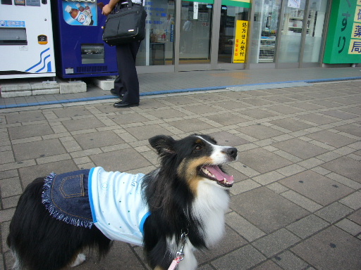 e0130008_19111062.jpg