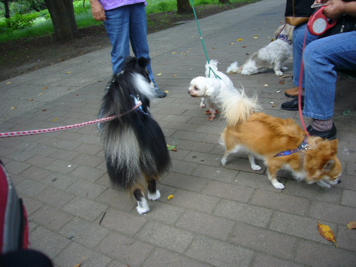 e0130008_19161484.jpg