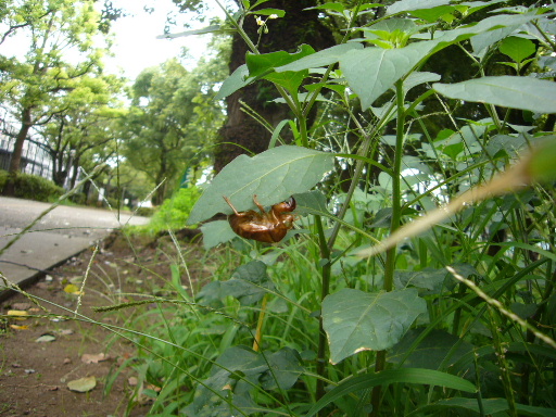 e0130008_19215331.jpg
