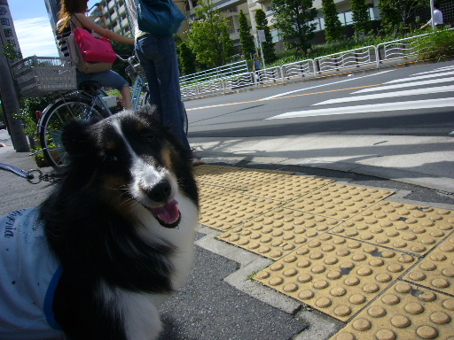 e0130008_19235555.jpg