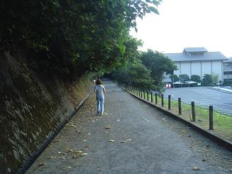 b0059410_1403386.jpg