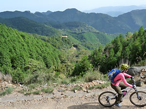 d0023725_1311174.jpg
