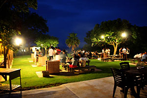 d0023725_1317568.jpg