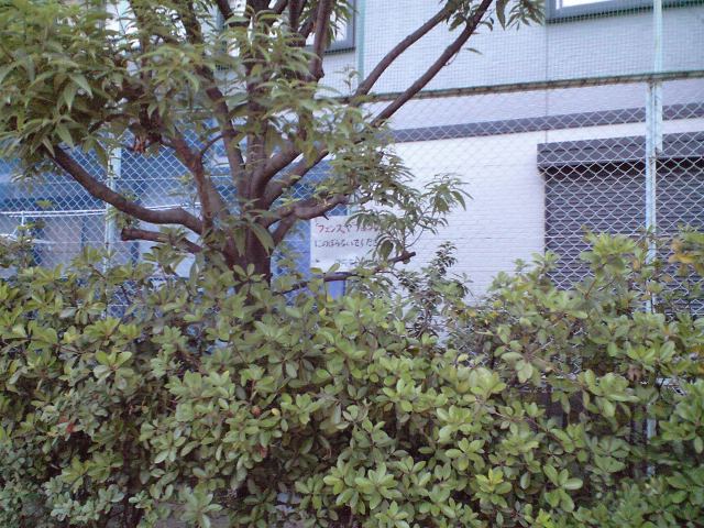 d0137326_23111379.jpg