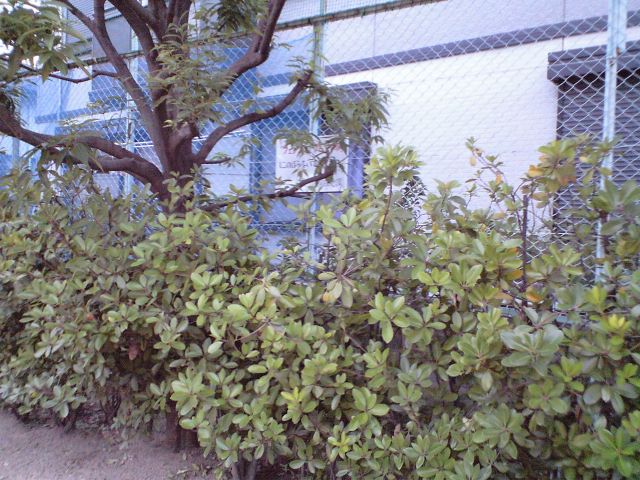 d0137326_23112939.jpg