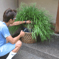 d0033734_10494699.gif