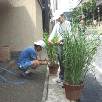 d0033734_10514116.gif