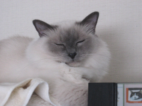 d0140838_0362022.jpg