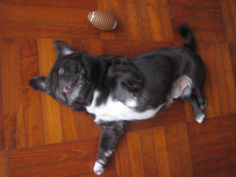 e0018143_3371989.jpg