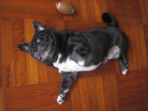 e0018143_3373753.jpg