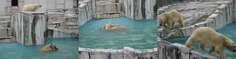 e0127045_8322577.jpg