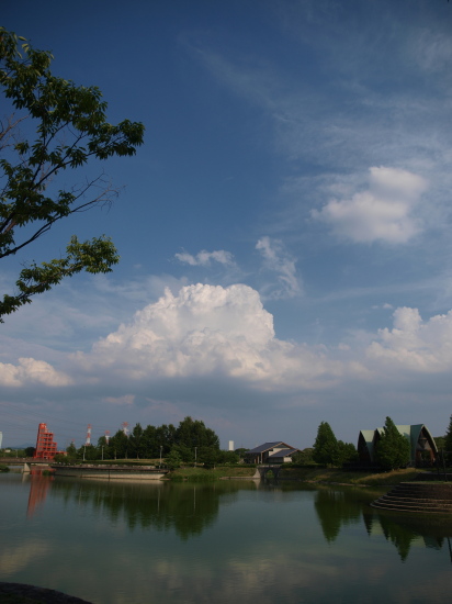 a0124947_21243237.jpg