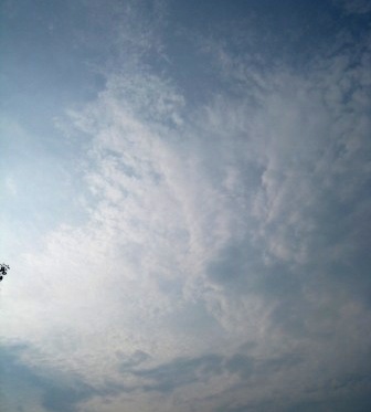 b0173754_1322418.jpg