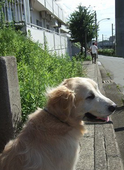 c0097558_23233459.jpg