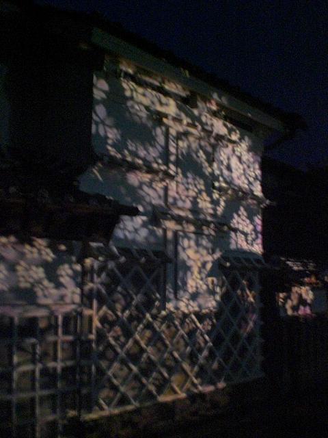 b0133460_0581257.jpg