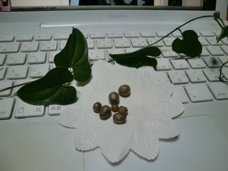 d0105063_10564963.jpg