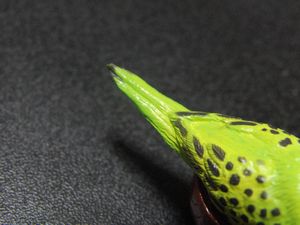 f0196665_012553.jpg