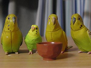 f0196665_0171529.jpg