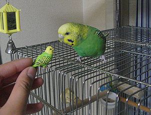 f0196665_0221570.jpg