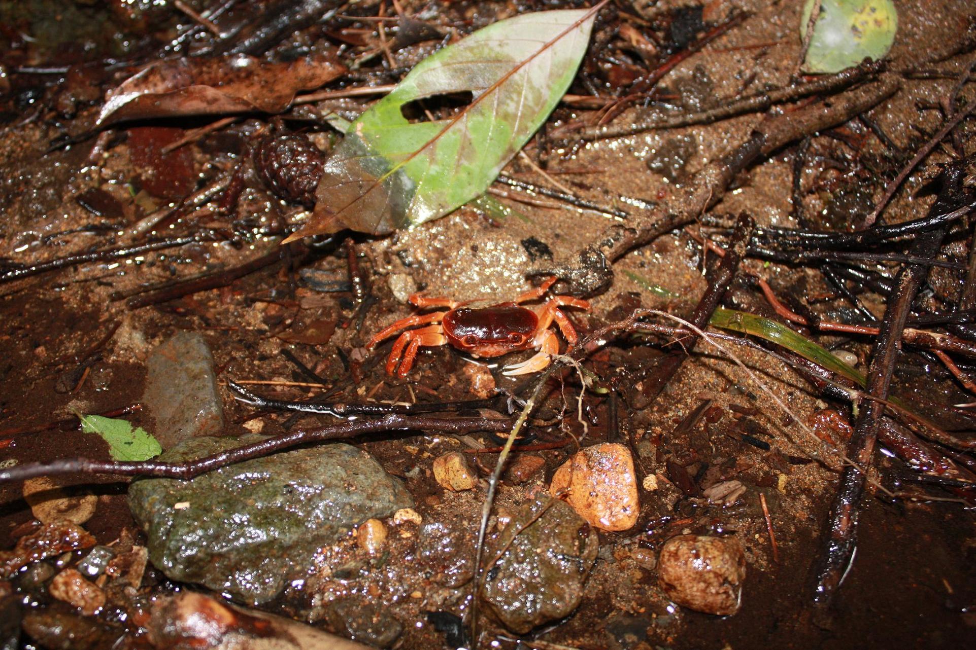 b0178169_05371.jpg