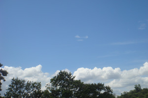 f0202071_1350817.jpg