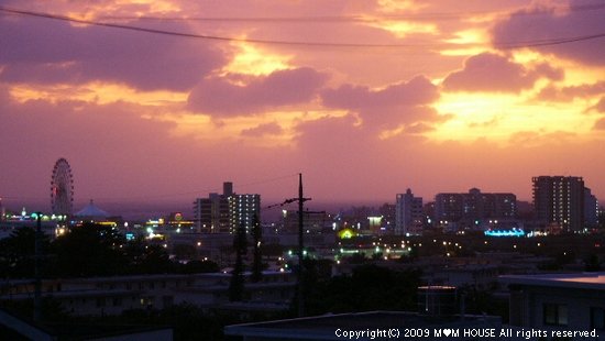 c0139375_1350278.jpg
