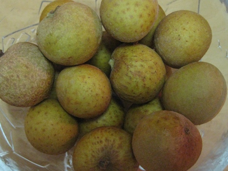 f0195286_12384334.jpg