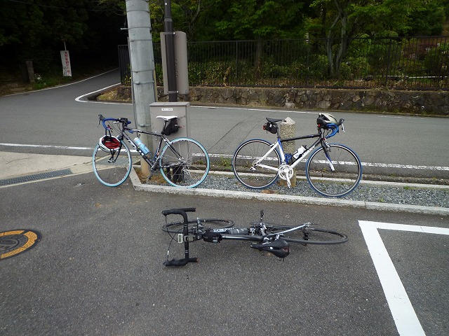 a0118289_8514578.jpg