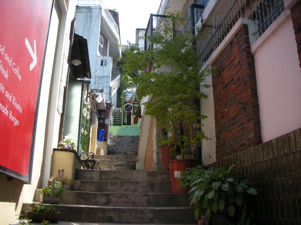 e0109292_181069.jpg