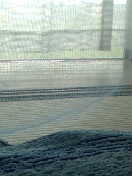 e0122194_982671.jpg