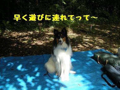 f0081100_1101552.jpg