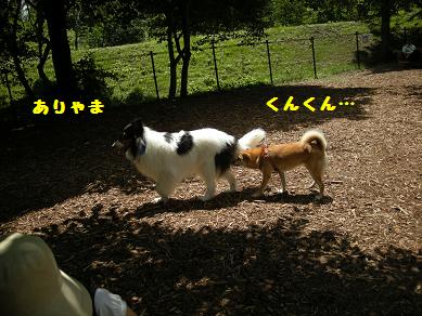 f0081100_23505982.jpg