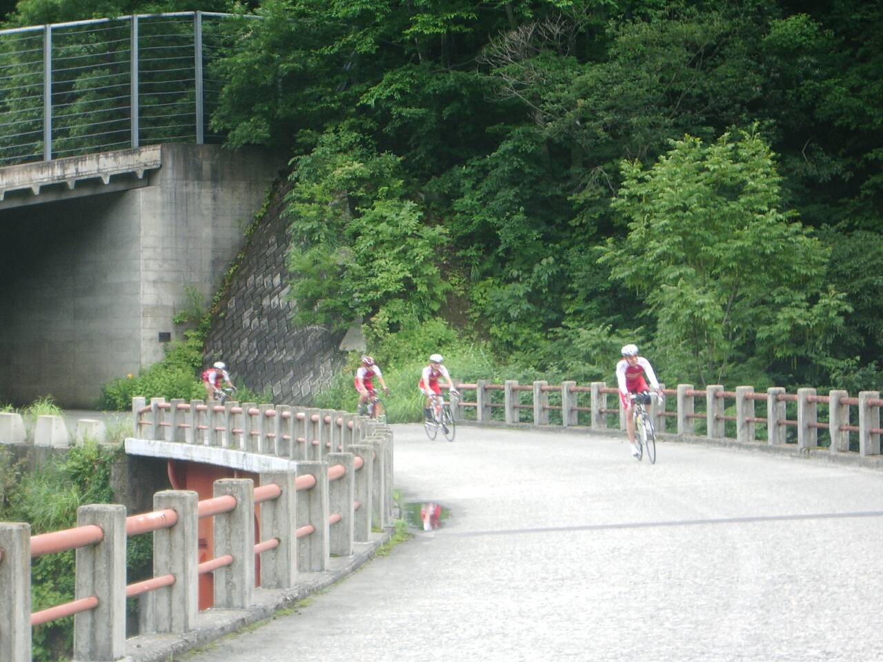 d0046502_2055538.jpg