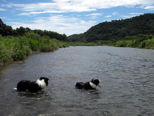 f0034602_19461611.jpg
