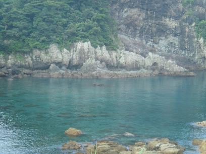 b0059410_2061128.jpg