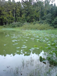 b0121015_22502429.jpg