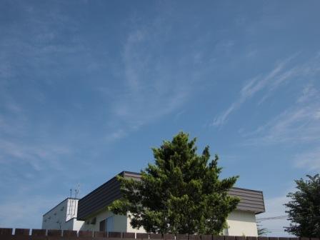 e0113915_9452797.jpg