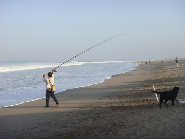 d0005519_17231911.jpg