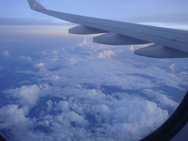 d0005519_19215650.jpg