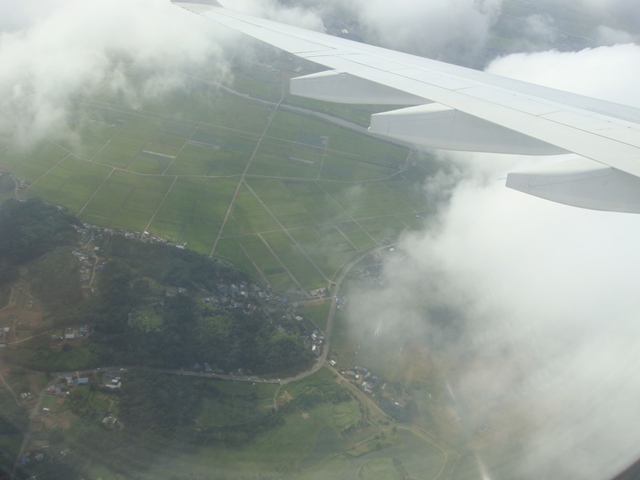 d0005519_19251411.jpg